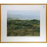 Peter Linden (American, 20th century), "Point Reyes Beach Grasses," color photograph, pencil