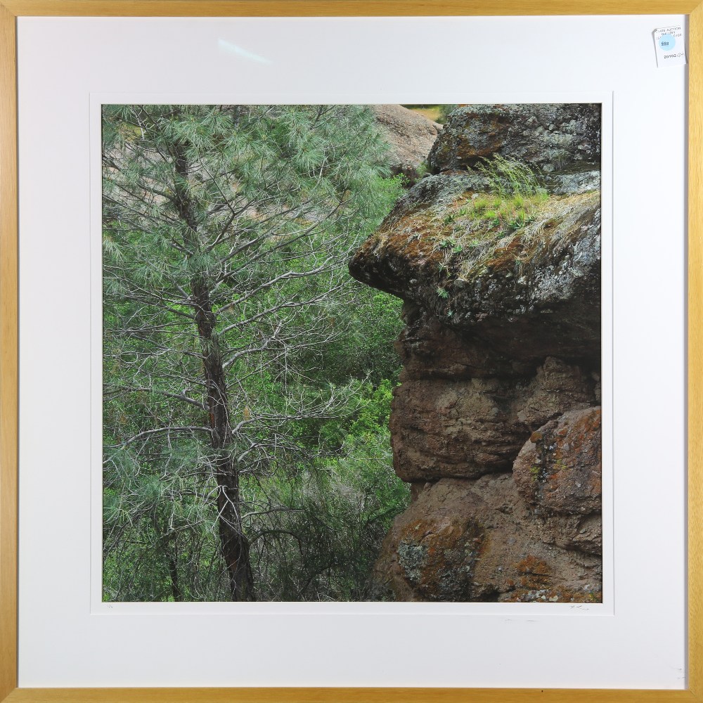 Peter Linden (American, 20th century), "Pinnacle Tree Near to Rock Wall," color photograph, pencil