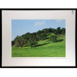 Peter Linden (American, 20th century), "Page Mill Hills," color photograph, pencil signed lower