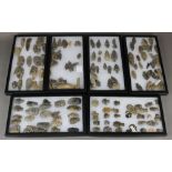 (lot of 6) Riker cases of ancient American arrowheads, each with label of origin from Eastern USA,