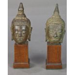 (lot of 2) Thai bronze Buddha heads, the serene faces with down cast eyes, and a tall ushnisha,