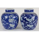 Pair of Chinese underglazed blue lidded porcelain jars, each with a prunus pattern on a blue ground,