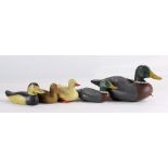 (lot of 5) Duck Decoy group, polychrome painted duck decoys, two marked "B.B.D", largest 7"h x 13.5"