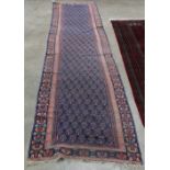 Afghan Belouch runner, 3'1''w x 15'7''l