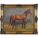 Portrait of a Horse, oil on board, signed indistinctly "Manning M (?)" lower right, 20th century,