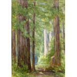 Lorenzo Palmer Latimer (American, 1857-1941), California Redwoods, 1921, watercolor, signed and