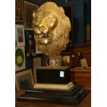 Neoclassical style gilt bronze lion head, rising on a graduated plinth, 31.5"h