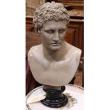 Composition cast bust of a male, executed in the Classical taste, and rising on a circular base,