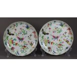 Pair of Chinese enameled porcelain dishes, each with a foliate rim and decorated with butterflies