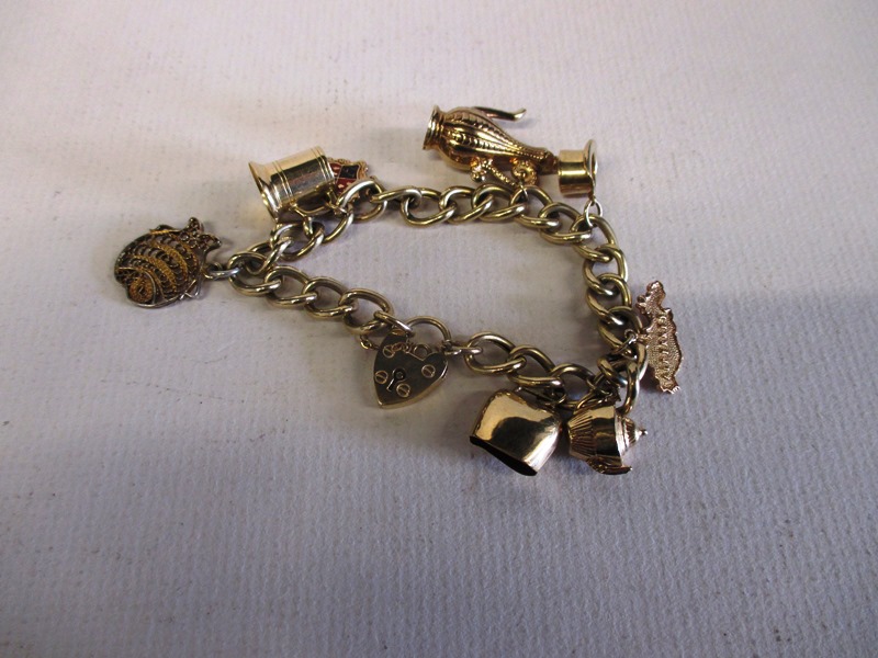 A 9ct gold charm bracelet, approx weight 20.5g