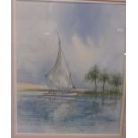 A framed Terry Jeffrey watercolour 'River Nile near Asway'
