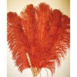 A large 1920s Burlesque ostrich feather fan