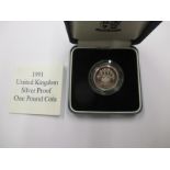 A 1991 silver proof £1 coin