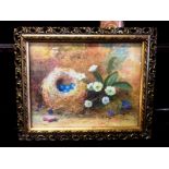 A framed watercolour of a bird nest and woodland flowers, signed l/l D Gould 1916