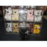 11 Chubbley bears in plastic display boxes