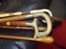 A Horn Cane With White Metal Collar Twinned With F