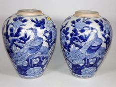 A Pair Of Chinese Blue & White Porcelain Vases