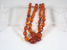 A Double Strung Set Of 19thC. Faceted Amber Beads