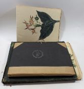 Three Antique Art Albums, Mostly Botanic Watercolo