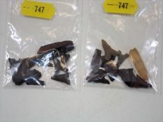 A Quantity Of Neolithic Arrow Heads