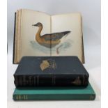 British Game Birds & Wild Fowl, Vols. I & II Bever