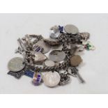 A Silver Charm Bracelet