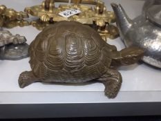 A Signed Resin Tortoise Model