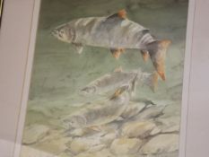 A Framed Watercolour By Peter Thorley Of Salmon