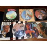 A selection of vinyl LP picture discs including Bl
