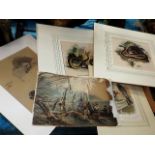 Two Hand Coloured Antique Snake Prints, An Early B