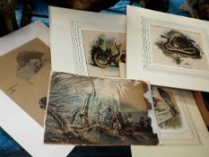 Two Hand Coloured Antique Snake Prints, An Early B