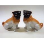 A pair of 19thC. continental porcelain pug dogs