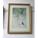 An Original Watercolour Study Depicting Birds In T