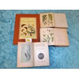 British seaweed book dated 1851 & British mosses d