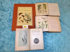 British seaweed book dated 1851 & British mosses d