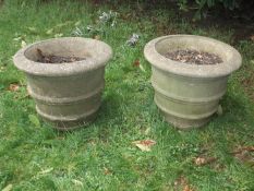 A pair of large antique Portland stone style plant