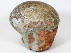 A fossilised dinosaur egg, believed to be from the Gobi desert