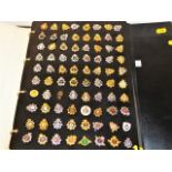 A large collection of approx. 4800 badges includin