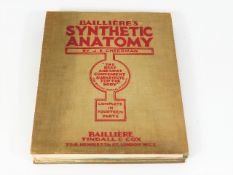 Baillerre's Synthetic Anatomy by J. E. Cheesman