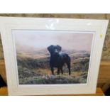 A Steven Townshend pencil signed print of Labrador