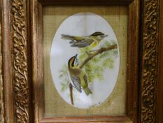 A gilt framed finely painted ivory panel signed E.
