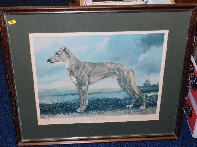 A framed print of legendary greyhound Mick The Mil