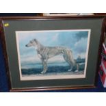 A framed print of legendary greyhound Mick The Mil
