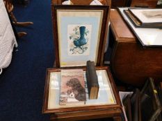 Two Tunnicliffe framed bird prints, somewhat faded