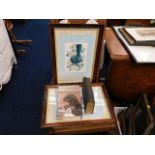 Two Tunnicliffe framed bird prints, somewhat faded