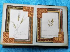A 19thC. book containing pressed grasses