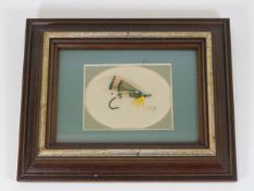 A framed fly by Gary Kosinsky