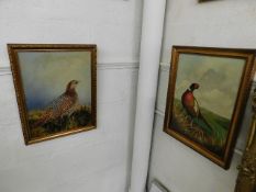 Two framed oils of pheasants