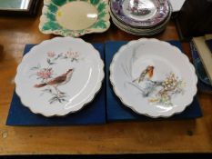 Eight Royal Worcester bird plates after Dorothy Do