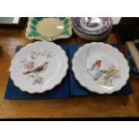 Eight Royal Worcester bird plates after Dorothy Do